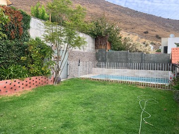 Imagen 19