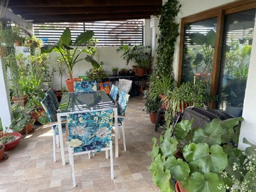 Imagen 27