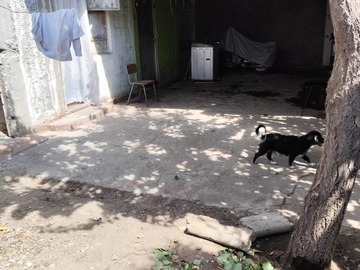 Imagen 11