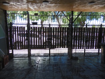 Imagen 9