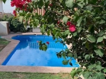 Imagen 15