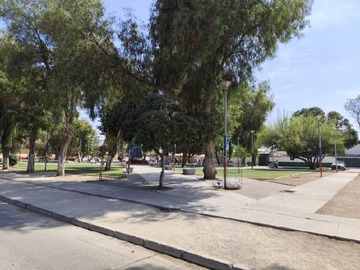Imagen 4