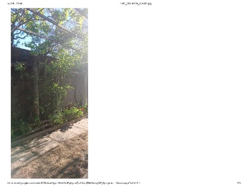 Parrón uva negra y blanca