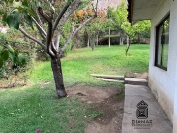 Imagen 11