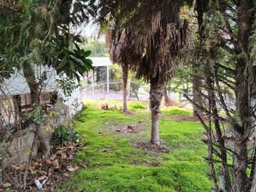 Imagen 24