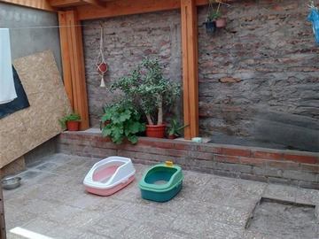 Imagen 19