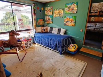 Imagen 15