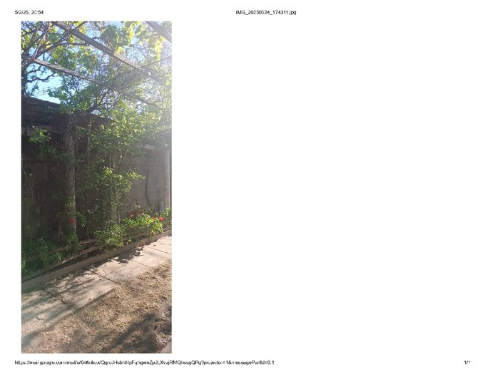 Parrón uva negra y blanca