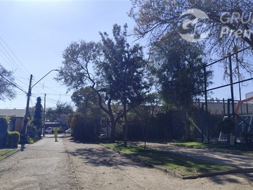 Imagen 20