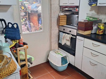 Imagen 7