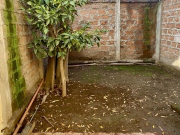 Imagen 18