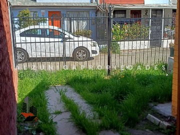 Imagen 6
