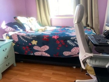 Imagen 5