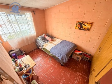 Imagen 15