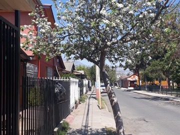 Imagen 9