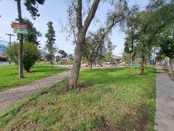 Imagen 16