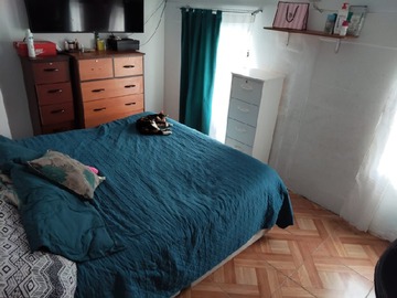 Imagen 15