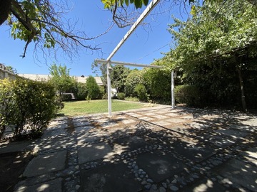 Imagen 7
