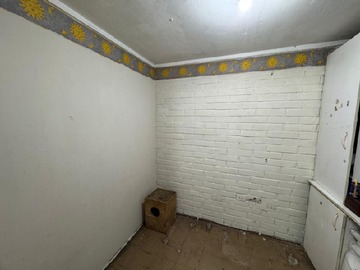 Imagen 5