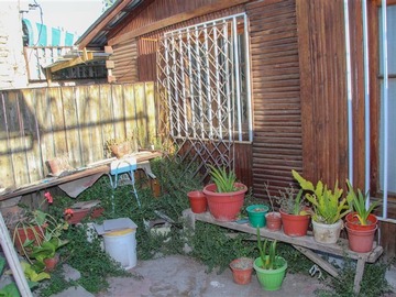 Imagen 20
