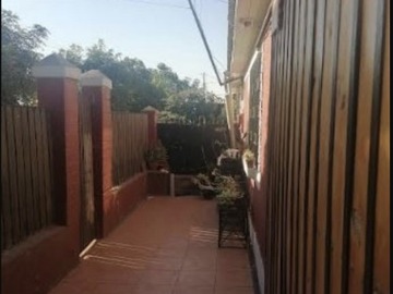 Imagen 19