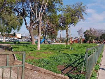 Imagen 11