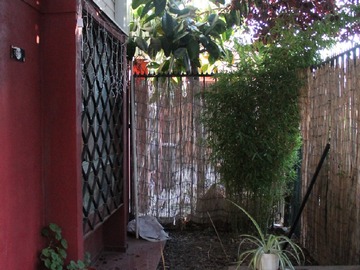 Imagen 11