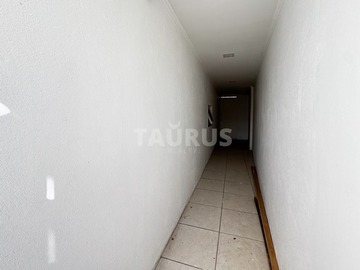 Imagen 15