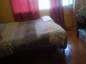 Imagen 7