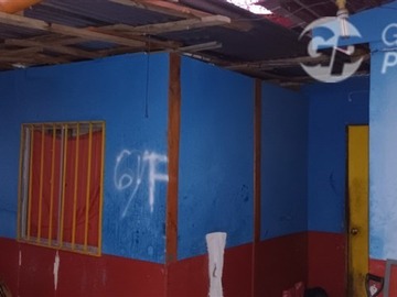 Imagen 5