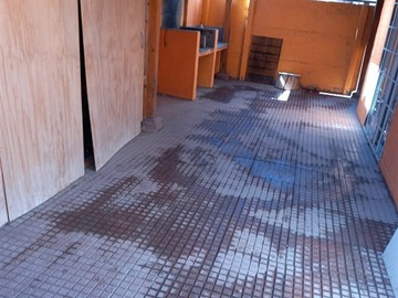 Imagen 10