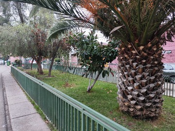 Imagen 7