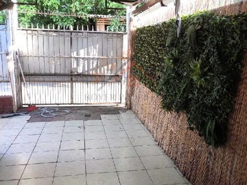 Imagen 11