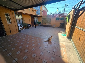 Imagen 19