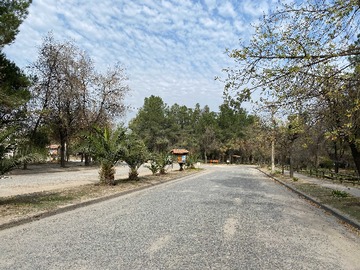 Imagen 20