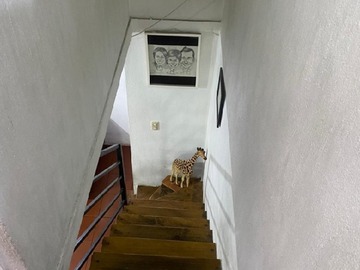 Imagen 13