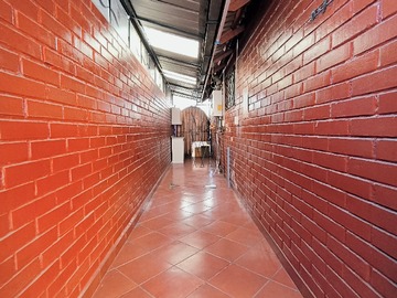 Imagen 5