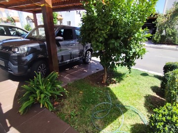 Imagen 6