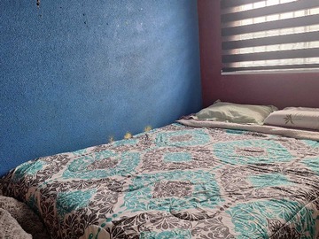 Imagen 12