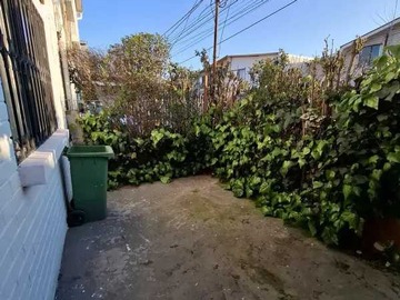 Imagen 5