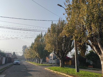Imagen 16