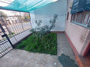 Imagen 12