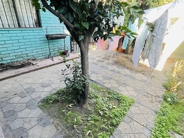 Imagen 22