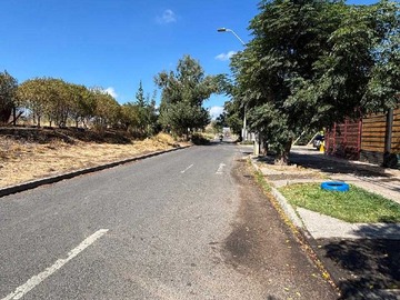 Imagen 12