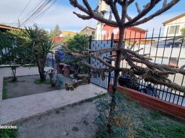Imagen 5
