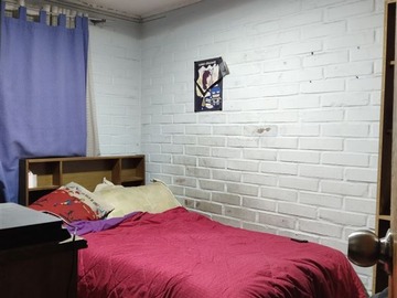 Imagen 8