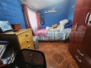 Imagen 11