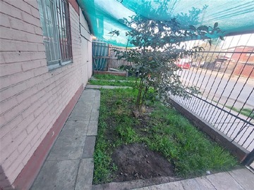 Imagen 11