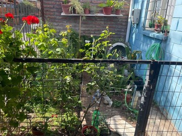 Imagen 10