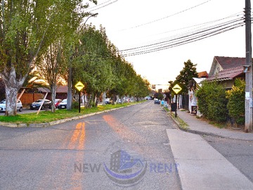 Imagen 23